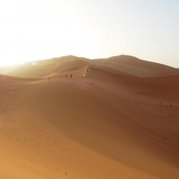 sahara algérien