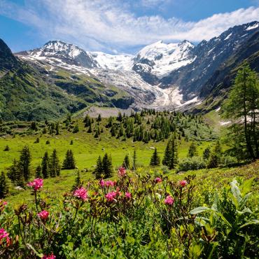 rando chamonix mont-blanc
