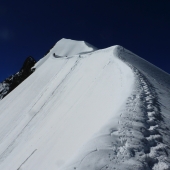 piz bernina