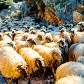 voyage en famille