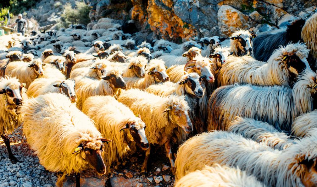 albanie-voyage-en-famille