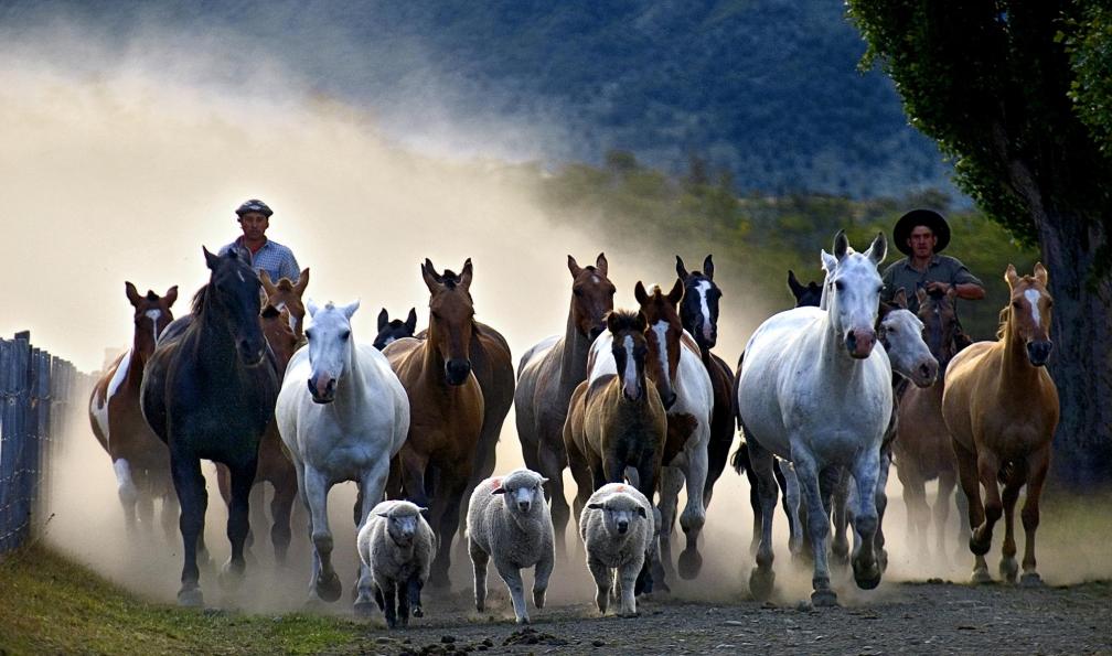 Lydie Busillet -  Gauchos argentins, Argentine - Road trip patagon et chutes de Iguazu - 3