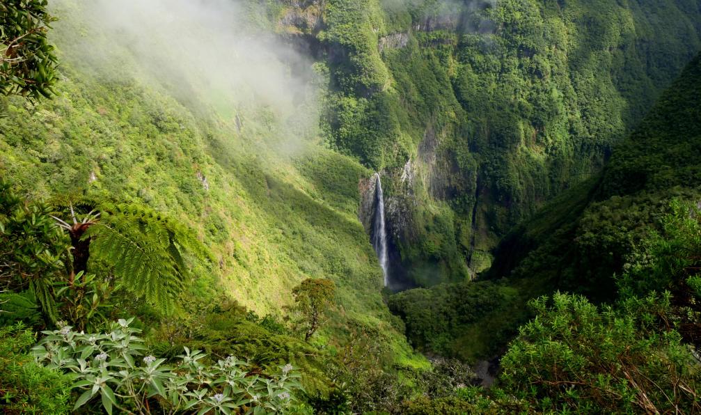 Etoile Polaire - stock.adobe.com - Trou de Fer, une belle cascade au milieu d'une forêt primaire à La Réunion. Forêt tropicale humide recouvrant des falaises de montagnes. Paysage pittoresque à la Réunion - L'île aux trésors - 1