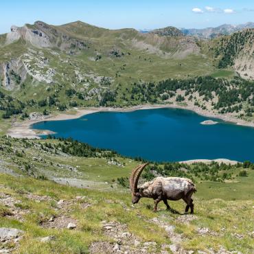 Le Mercantour en étoile depuis Casterino