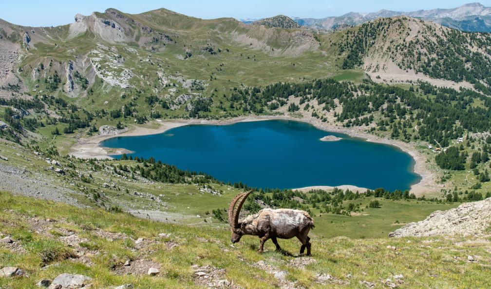 Le Mercantour en étoile depuis Casterino