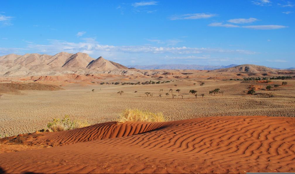 Safari - Montagnes et déserts de Namibie