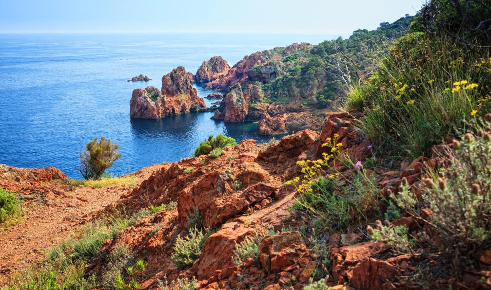 aprott -  Istock -  Du Cap Dramont, Esterel, France.  - L'Estérel avec mon chien - 3