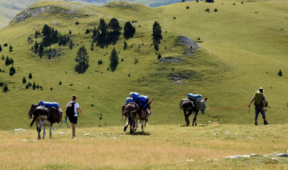 Vercors Escapade - Randonnée en famille avec des ânes, Vercors, France - Mon premier trek dans le Vercors avec un âne - 1