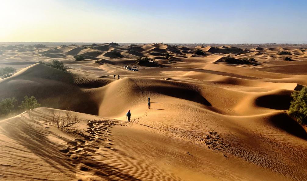 desert-marocain-vallee-du-draa