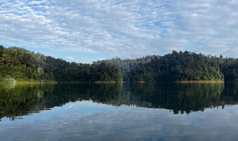 Célia - Noël - Vue sur le lac de Cheow Lan dans le parc national de Khao Sok en Thaïlande. 

 - Les mille et une facettes de Thaïlande - 5