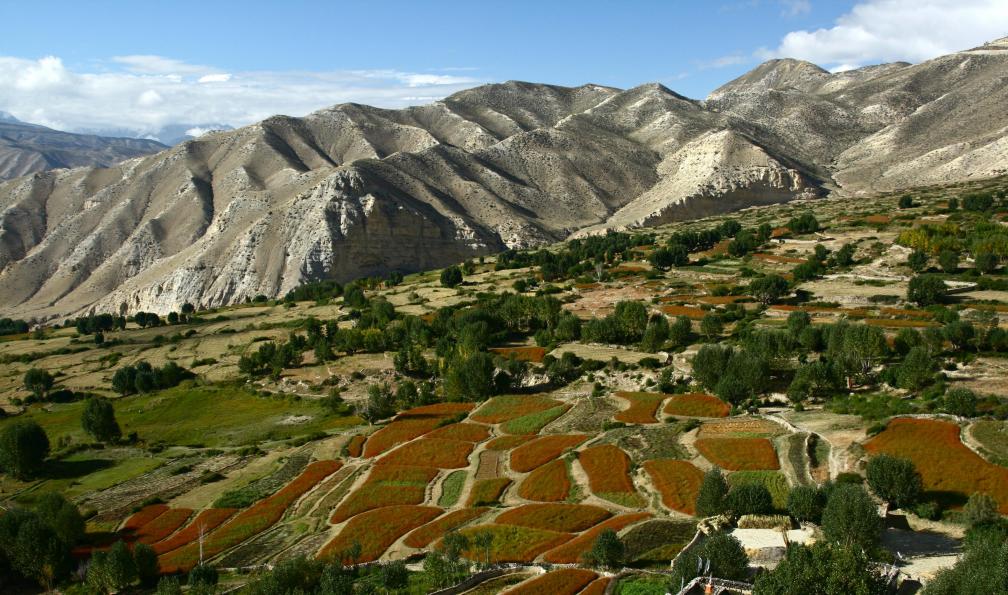 Cultures et collines, entre Chhuksang et Dhakmar, Mustang, Népal. - Royaume du Mustang et Lo Manthang - 4