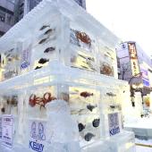 fête des glaces : yuki matsuri hokkaido
