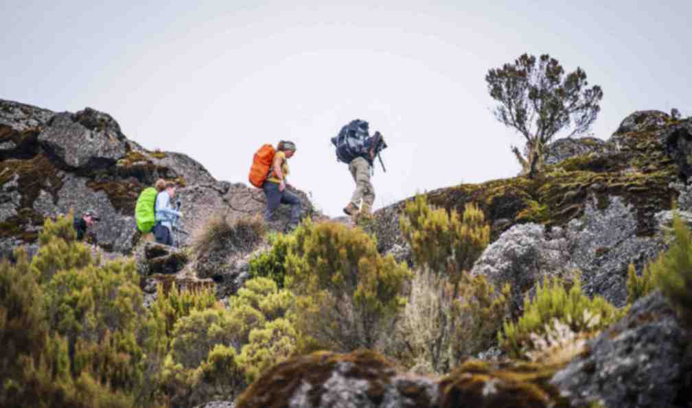 Voyages Accompagnés - Allibert Trekking