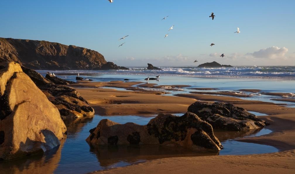 Gewitterkind -  Istock -  Plage de la côte Sauvage de Quiberon, France.  - Belle-île-en-Mer en étoile - 6
