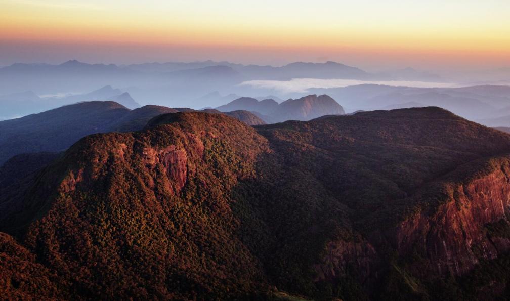 danilovi -  istock -  Pic d'Adam, Sri Lanka - Les sentiers du thé - 11
