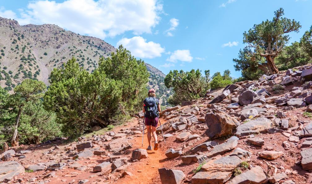 Fabre - Isabelle - Femme qui marche dans la vallée de lAzeden, Toubkal - Le raid du Toubkal - 5