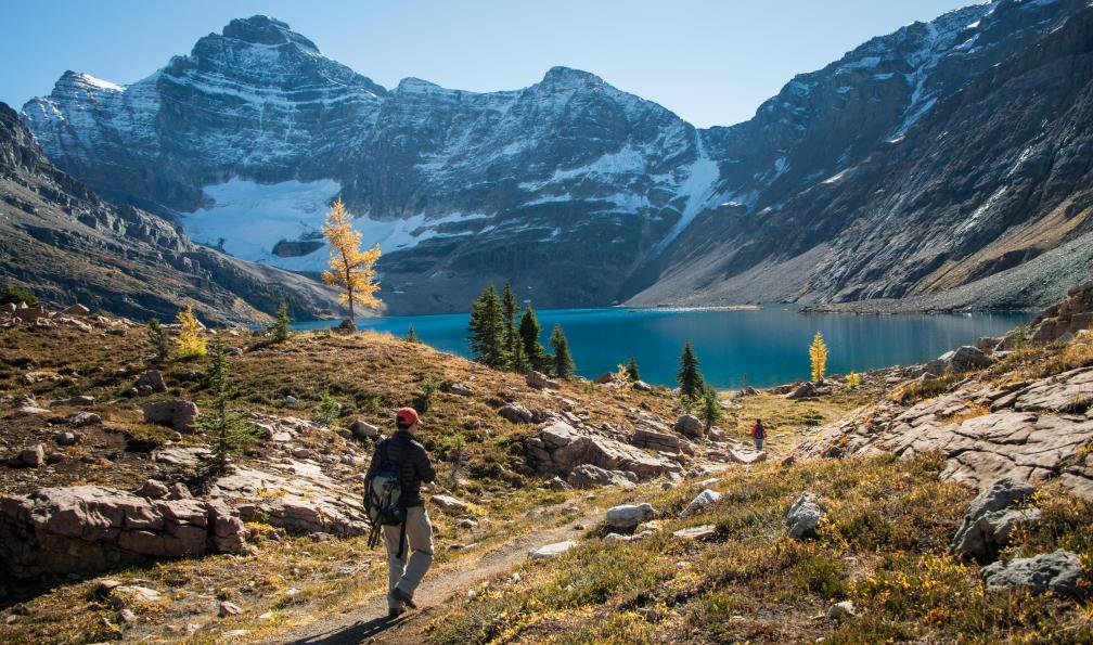 Janice Chen -  istock -  Randonnée au lac O'Hara, Parc National de Yoho, Rocheuses canadiennes - Banff, Yoho, Jasper : Rocheuses grandeur nature - 5