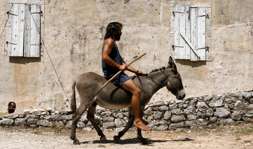 Homme sur un âne, Albanie. - Ma family en Albanie  - 1