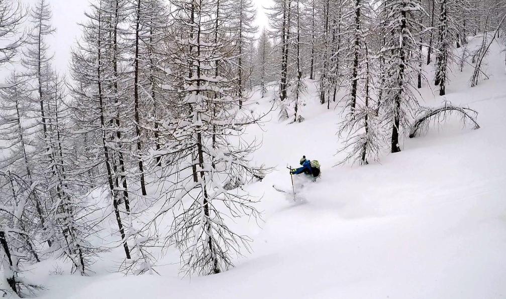 Chloé Davoine -  Paul Bonhomme. Descente dans la poudreuse au milieu de la forêt, Queyras - Apprendre à faire sa trace avec Paul Bonhomme  - 4