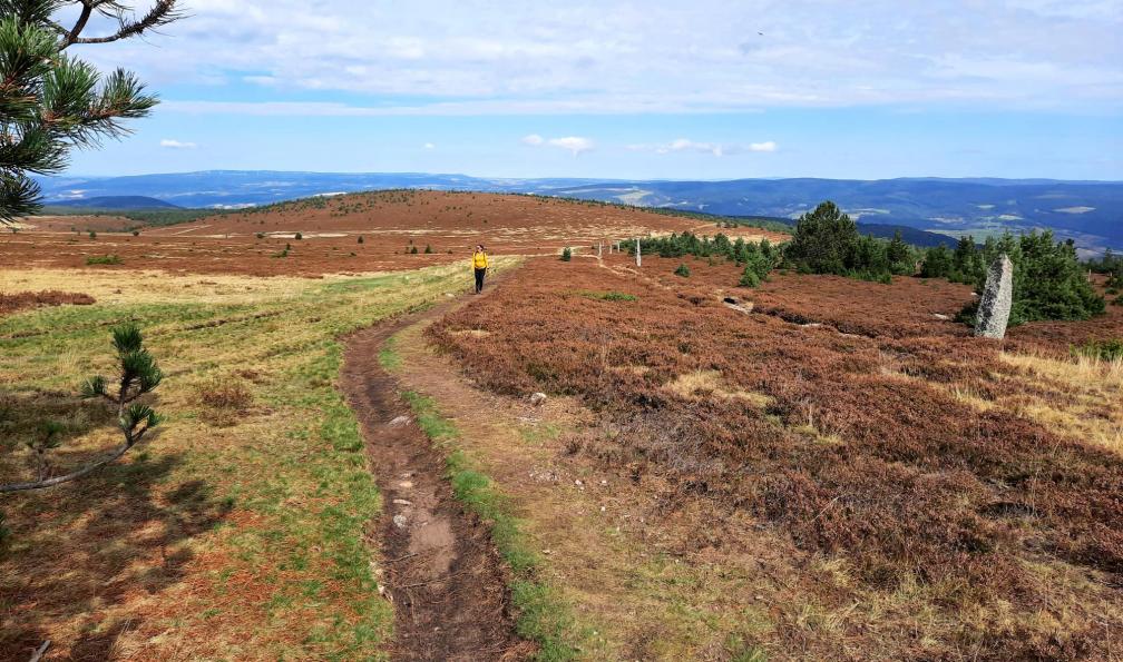 Truffault - Magali - Randonneurs sur un sentier du Mont Lzère, France - Chemin de Stevenson sud : du Gévaudan aux Cévennes - 2