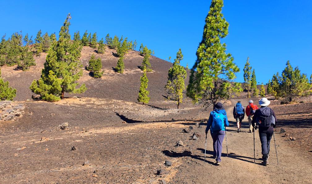 Noël - Célia - Randonneurs sur le sentier de Samara, Parc du Teide, Tenerife, Espagne - Tenerife, l'éternel printemps - 5