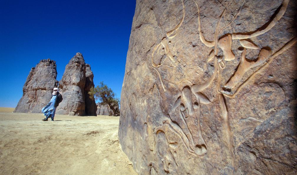 robertonencini - Adobe Stock - Gravure d'animaux de Tamanrasset, Algerie - Hoggar, cathédrale de pierres et d'éternité - 1