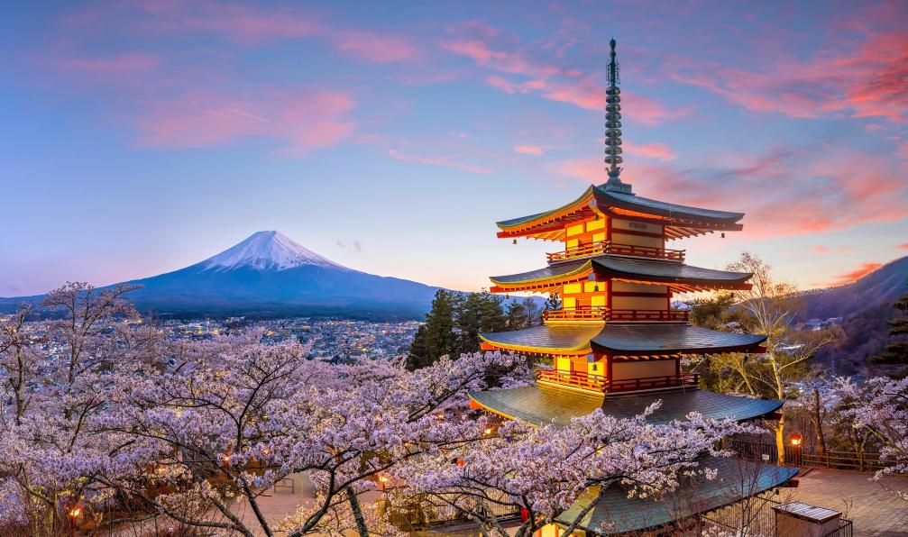 f11photo - Adobe stock - Le Mont Fuji et la pagode rouge de Chureito au coucher du soleil, fleurs de cerisiers en fleurs, Japon - Mont Fuji et cités impériales - 7