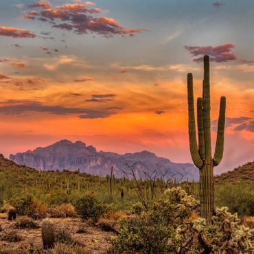 voyage arizona