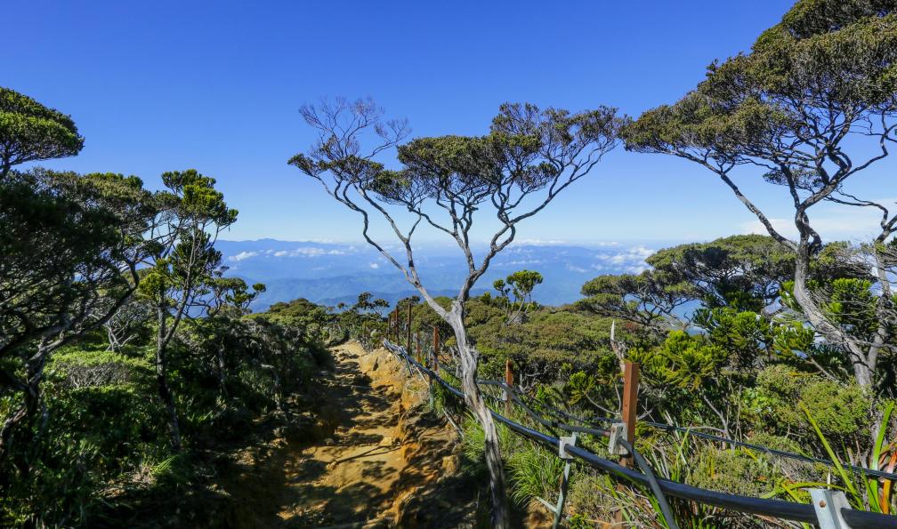 Image Mont kinabalu, toit de l'asie du sud-est