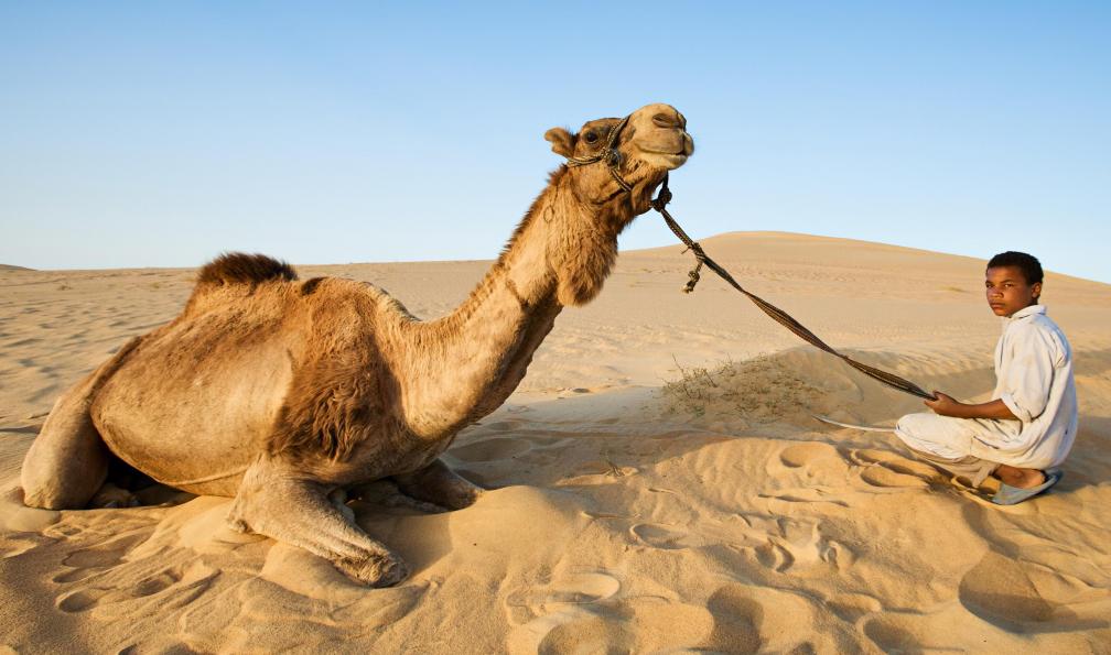 Image Le petit prince