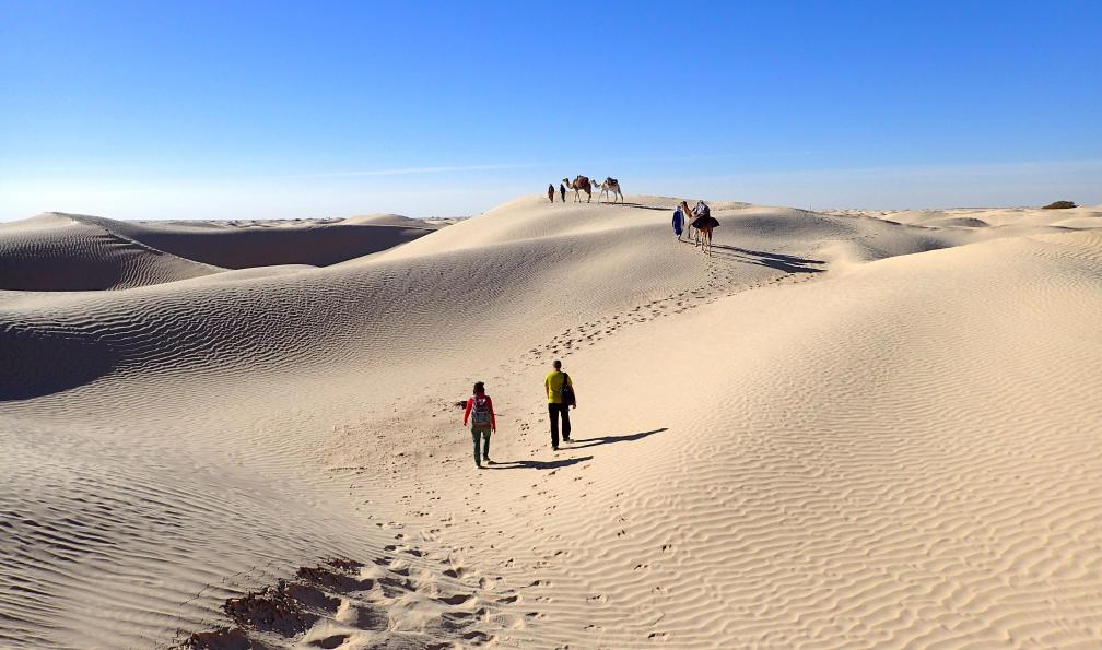 Pellotier - Christelle - Marcheurs et caravane dans le désert tunisien - Sables et oasis du Sud - 4