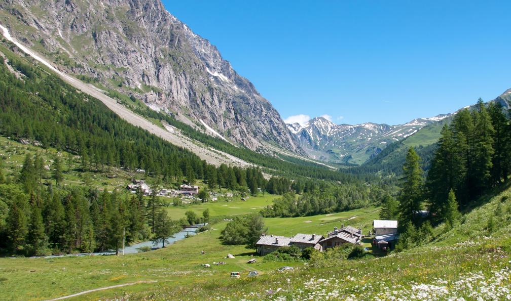 Voyage à cheval - Alpes italiennes tour du mont blanc avec un ane