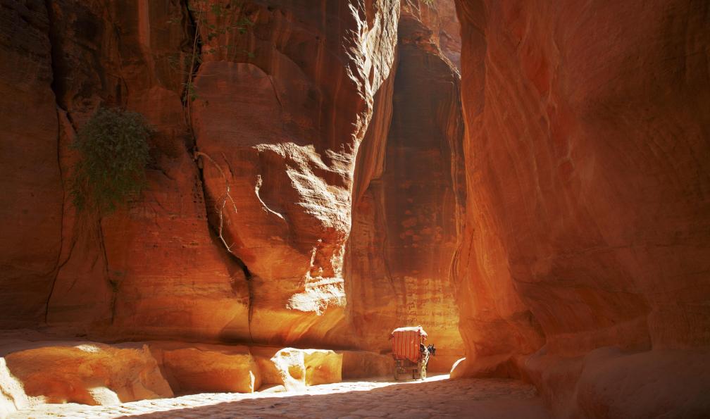 vintagerobot -  Istock -  Le Siq dans Petra, Jordanie avec Cheval et calèche;Jordanie - Pétra & Wadi Rum: duo d'Orient - 1