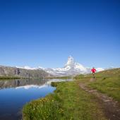 trail chamonix - zermatt