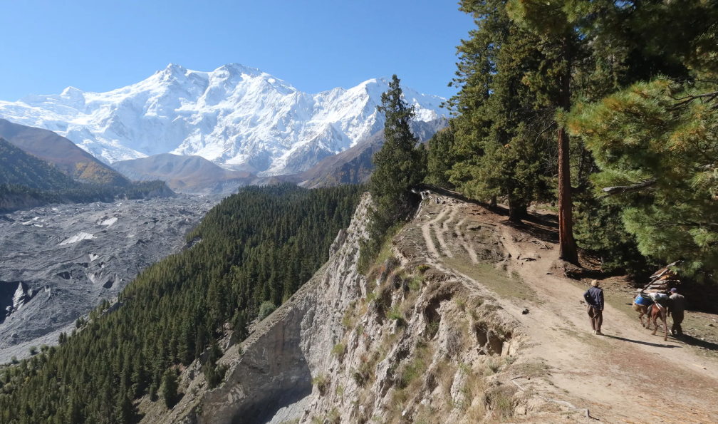 Neyret - Pierre - Paysan et son cheval sur un chemin à proximité d'une falaise, de rochers et vue sur les sommets enneigés, Nanga Parbat, Pakistan - Trek autour du Nanga Parbat avec Pierre Neyret  - 4