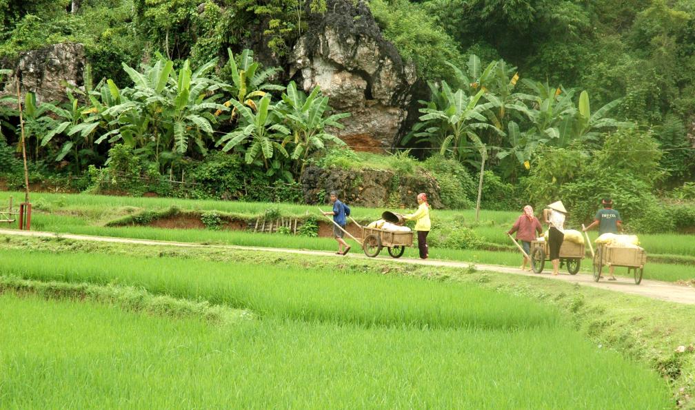 Gens près d'une rizière, région près de Mai Chau, chez les Thaïs blancs, Viêtnam. - Les petits gourmets au Vietnam - 1