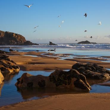  - Paysages et côtes sauvages du Morbihan