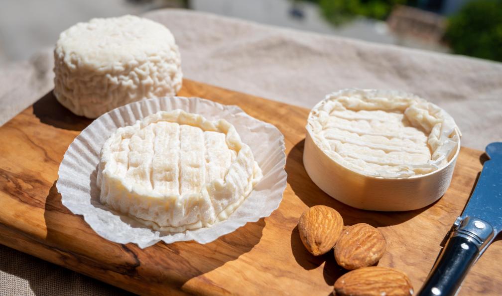 barmalini - Stock Adobe - Le fromages locaux, le Rocamadour et le Saint-Marcellin, Périgord, France - Sur les chemins du Lot au Périgord - 3