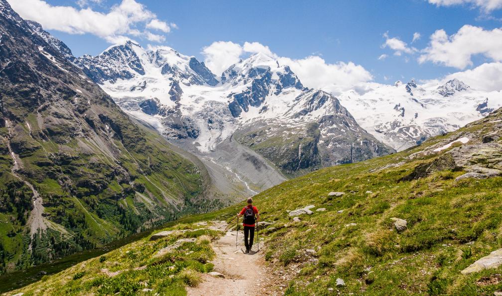 Bill 17 - Adobe 364904188 - Randonneur sur un sentier balcon, en fond le Piz Roseg, Piz Scerscen, Piz Sella, Wanderweg, Wanderer, Fuorcla Surlej, Murtèl, Corvatsch, Gletscher, Piz Bernina, Tschierva Gletscher, Piz Tschierva,  - Saint-Moritz et Bernina, joyaux alpins - 2