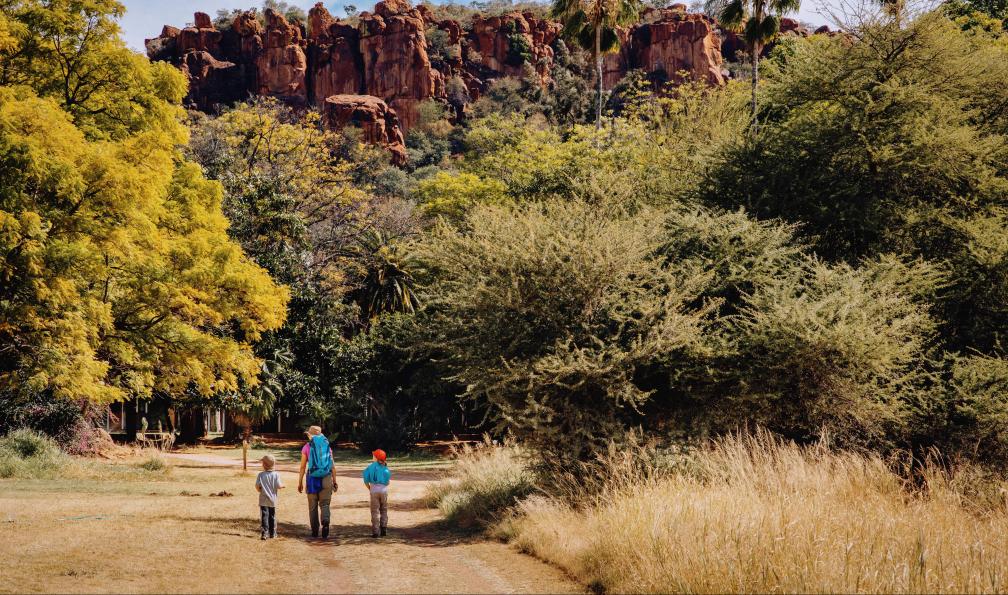 Michael - Adobe stock - Famille en randonnée randonnée sur le plateau du Waterberg, Namibie - Les sentiers de la Voie lactée - 10