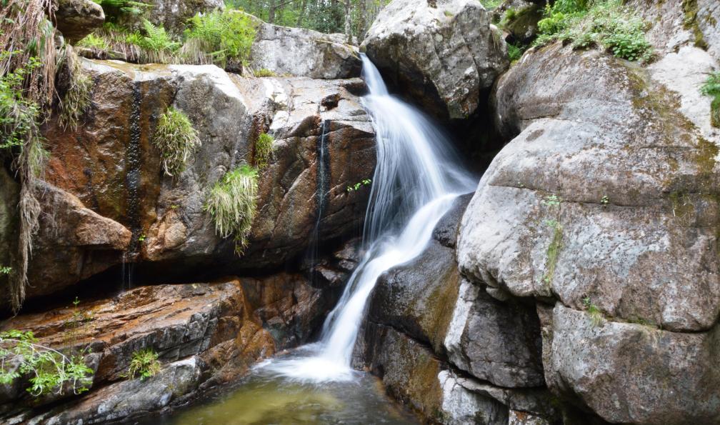 Wilfried - Adobe Stock - Cascade d'Aitone, Evise, Corse - Mare a Mare Nord : de Corte à Porto - 5
