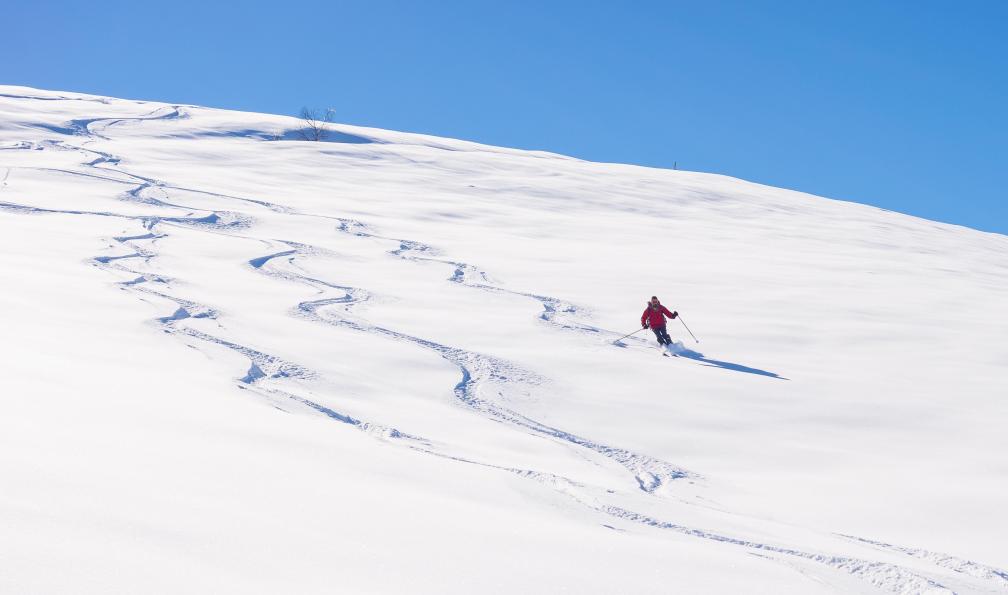 Fbxx - Istock - Traces dans la poudreuse - Débuter le ski de rando dans le Queyras - 4