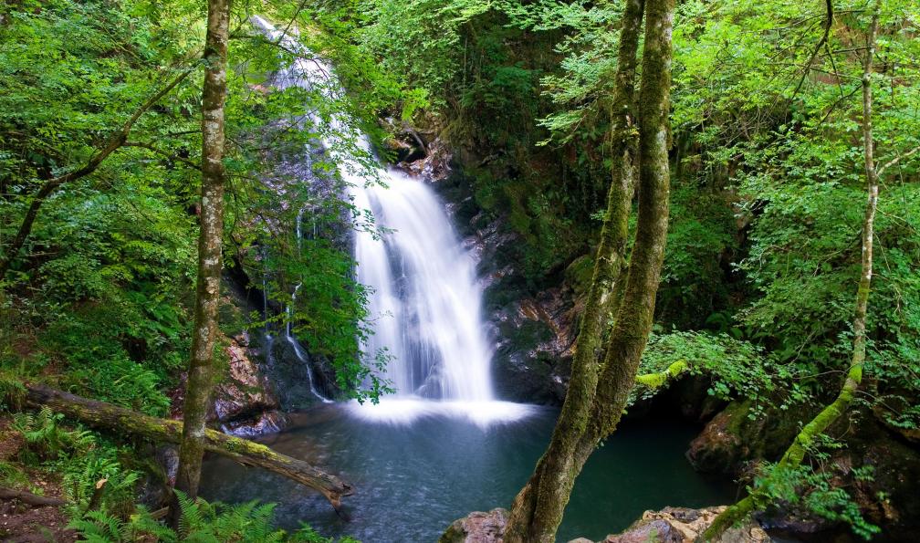Josu - Stock Adobe - La cascade de Xorroxin et sa forêt, Pyrénées
 - Le meilleur du Pays Basque - 2