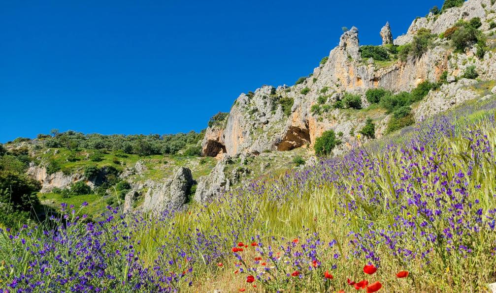 Pellequier - Lucie - Paysage autour de Zuheros, Andalousie, Espagne - L'essentiel de l'Andalousie - 1