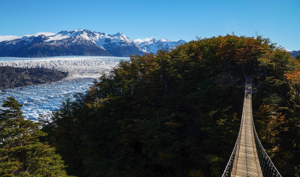 Christopher - Adobe Stock - Randonneurs traversant le pont suspendu près du glacier Grey, Chili - Aventure ultime : du bout du monde au trek du "o" - 10