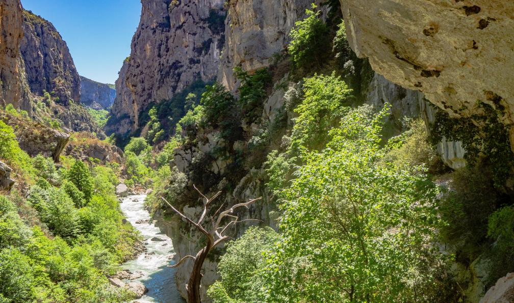 Imagium - Adobe stock - Vue sur une gorge du Verdon, France - Les Gorges du Verdon sur mesure  - 3