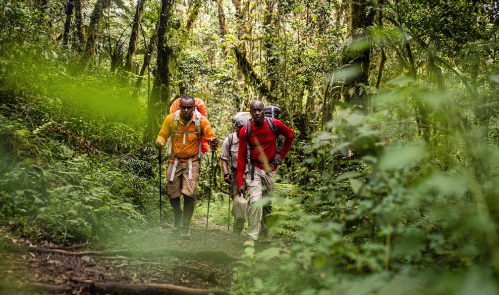 Chavi -  Jocelyn -  Porteurs dans la savane sur le chemin du kilimanjaro - Trilogie en Tanzanie - 8