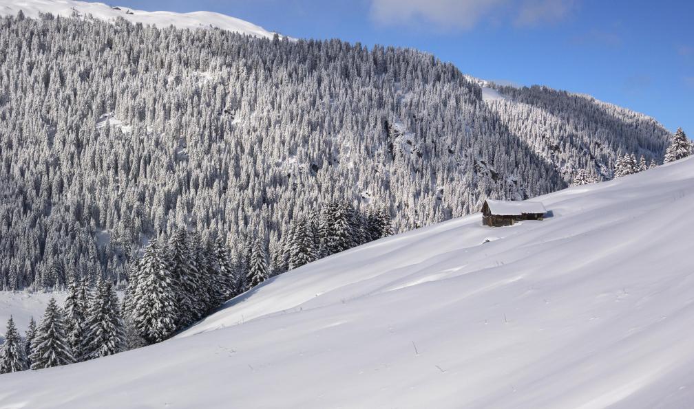mmac72 -  Istock -  Paysage hivernal dans le Beaufortain, France - Raquette confort au coeur du Beaufortain - 15