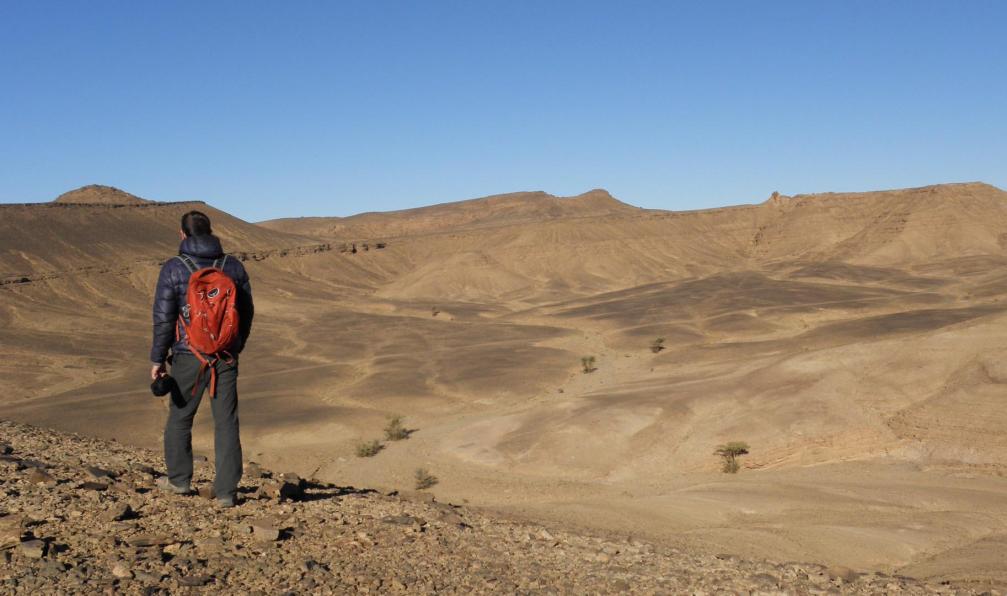 Image Le petit prince