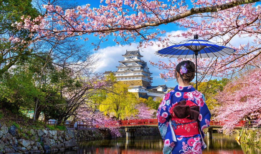 tawatchai1990 - Adobe stock - Jeune femme en tenue traditionnelle sous les cerisiers en fleurs regardant le château d'Himeji, Japon - Mont Fuji et cités impériales - 3